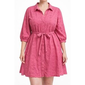 Colleen Lopez Embroidered Pink Eyelet Flared Shirt Dress 3/4 Puff Sleeve Boho 3X